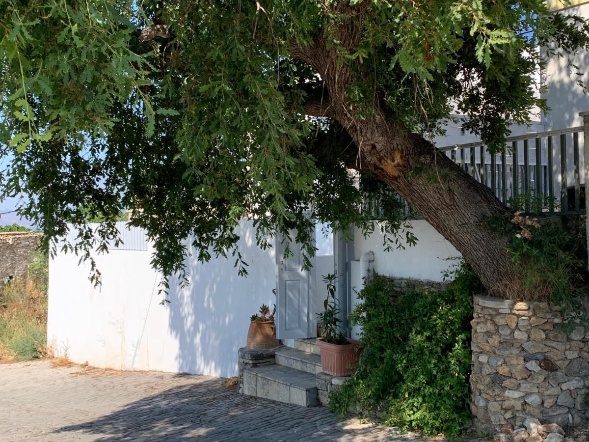 Moeses House Villa Asfendiou Exterior foto